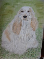 /album/galerie-photos/photo-310-jpg/